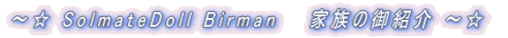 �`�� SolmateDoll Birman�@�@�Ƒ��̌�Љ� �`��