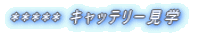 ***** キャッテリー見学