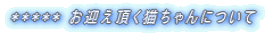***** お迎え頂く猫ちゃんについて