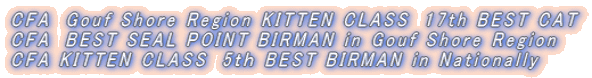 CFA�@Gouf Shore Region KITTEN CLASS�@17th BEST CAT CFA�@BEST SEAL POINT BIRMAN in Gouf Shore Region CFA KITTEN CLASS�@5���� BEST BIRMAN in Nationally