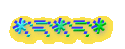 *:=:*:=:*